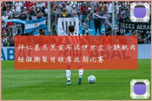 拜仁慕尼黑宣布诺伊尔左小腿肌肉轻微撕裂将缺席近期比赛