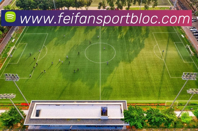 App Interface Preview