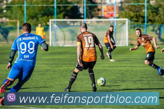 非凡体育APP 封面图