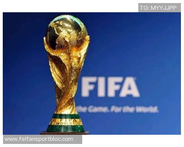 世界杯决赛门票价格惊人平均达3945美元揭幕战最低370美元引发热议